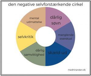 selvkritik